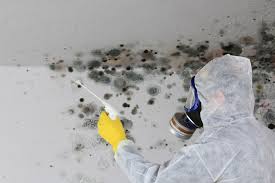 Best Crawl Space Mold Remediation  in Oceana, WV